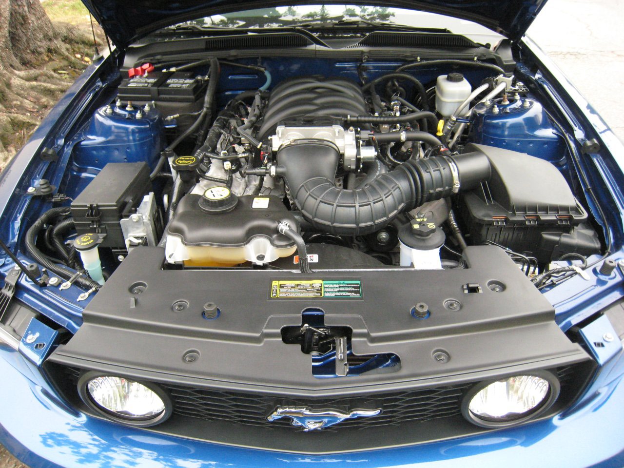 FORD MUSTANG engine