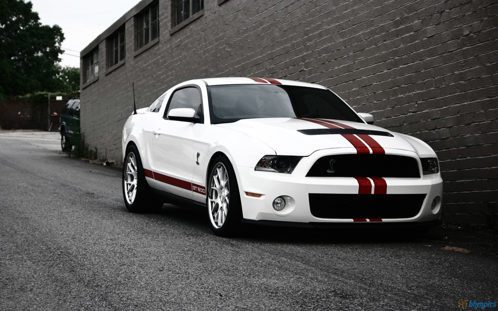 FORD MUSTANG white