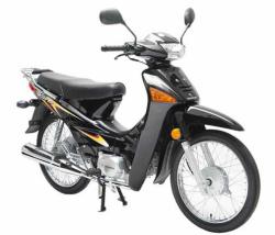 Honda Wave series