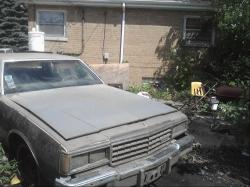 CHEVROLET CAPRICE CLASSIC brown