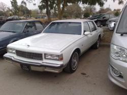 CHEVROLET CAPRICE white