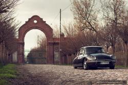 CITROEN DS brown