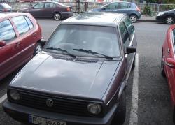 CITROEN XANTIA 1.6 brown