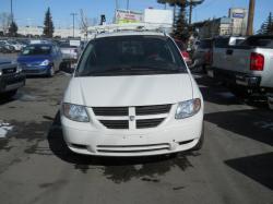 DODGE CARAVAN CARGO green