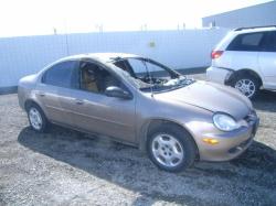 DODGE NEON brown