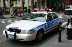 ford crown police