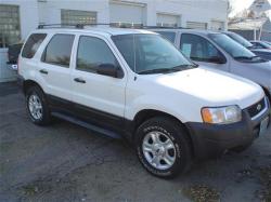 FORD ESCAPE white