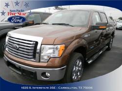 FORD F150 brown