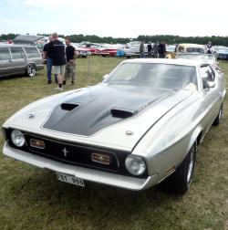 FORD MUSTANG silver