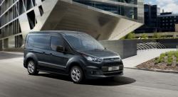 FORD TRANSIT CONNECT brown