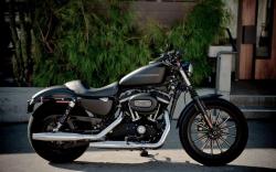 harley-davidson 883 roadster