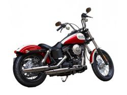 HARLEY-DAVIDSON DYNA white