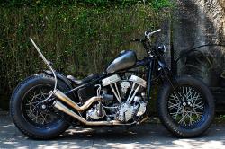 harley-davidson fl panhead