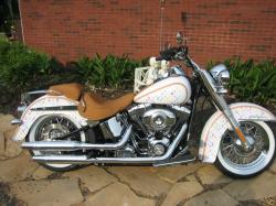 harley-davidson softail