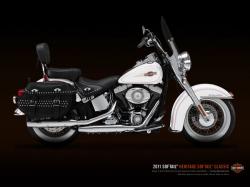 HARLEY-DAVIDSON SOFTAIL white