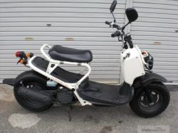 honda 50 zoomer