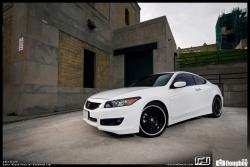 HONDA ACCORD white