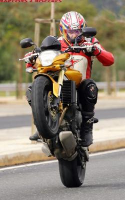 honda cb600f hornet