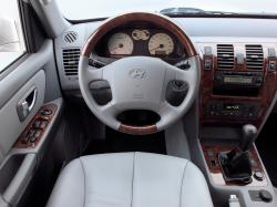 HYUNDAI TERRACAN brown