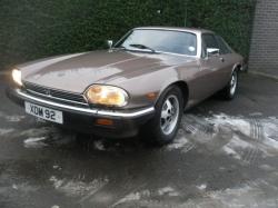 JAGUAR COUPE brown