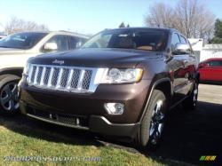 JEEP COMPASS 4X4 brown