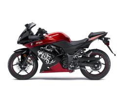 KAWASAKI NINJA 250R red