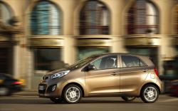 KIA PICANTO brown