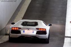 LAMBORGHINI AVENTADOR 700-4 white