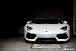 LAMBORGHINI AVENTADOR LP 700-4 white