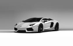 LAMBORGHINI AVENTADOR white