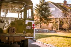 LAND ROVER SERIES II brown