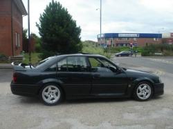 LOTUS CARLTON brown