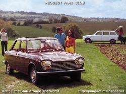 PEUGEOT 204 brown