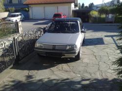 PEUGEOT 205 1.1 brown