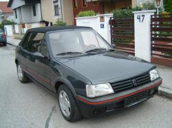 PEUGEOT 205 brown