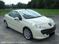 PEUGEOT 207 brown