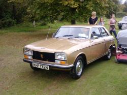 PEUGEOT 304 brown