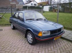 PEUGEOT 305 green