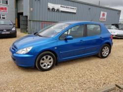 PEUGEOT 307 1.6 green