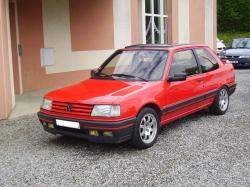 PEUGEOT 309 blue