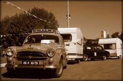 PEUGEOT 403 brown