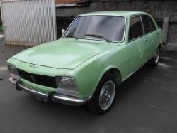 PEUGEOT 504 green