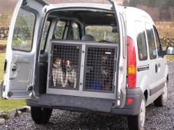 RENAULT KANGOO silver