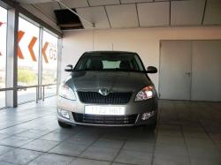 SKODA FABIA brown