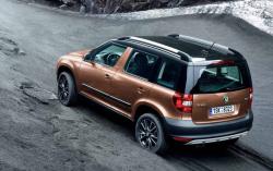 SKODA YETI brown