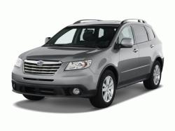 SUBARU TRIBECA brown