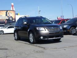 SUBARU TRIBECA brown