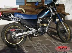 SUZUKI DR 250 blue