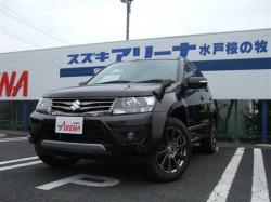 SUZUKI ESCUDO brown