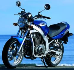 suzuki gs500